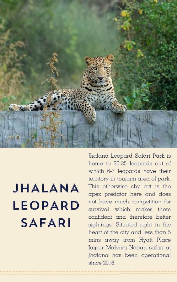 Hyatt Place Jaipur Malviya Nagar Eksteriør billede Jhalana Leopard